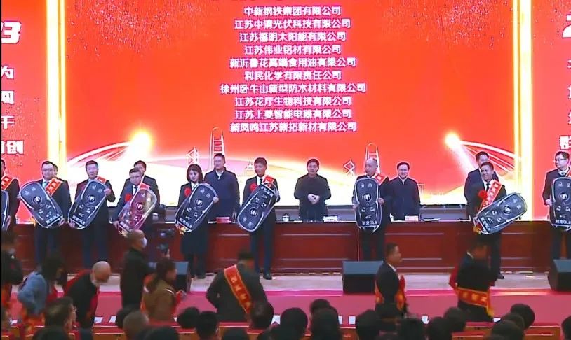 江苏必赢亚洲喜获新沂经开区“凸起贡献”“金牌项目”双项荣誉