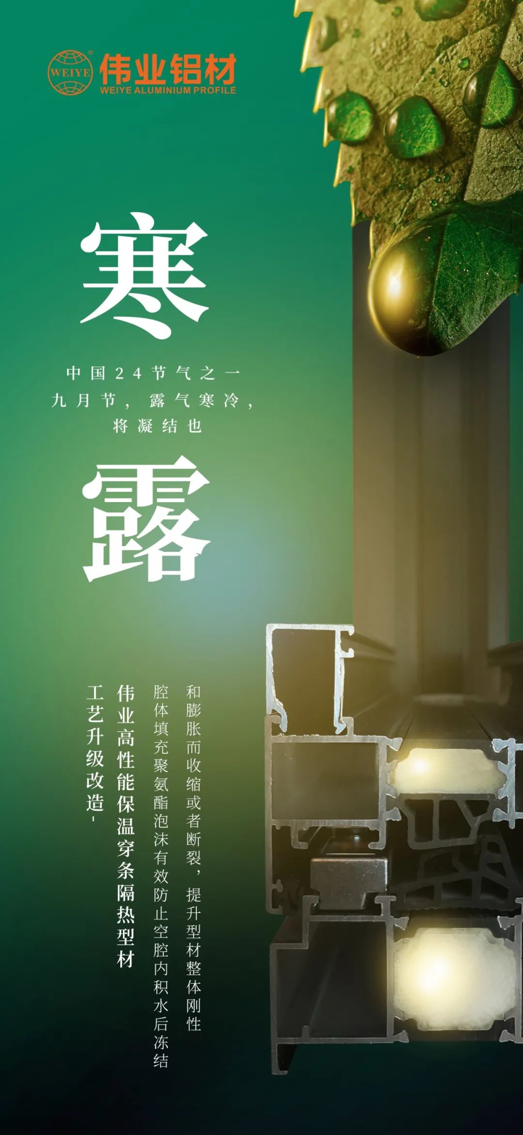 #寒露 九月节，露气寒冷，将凝固也 时光入深秋，岁月便深情